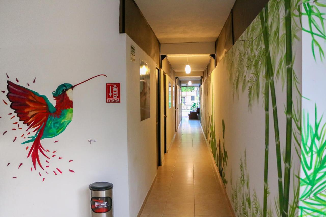 Hostal Gayser Βαγιαδολίδ Εξωτερικό φωτογραφία