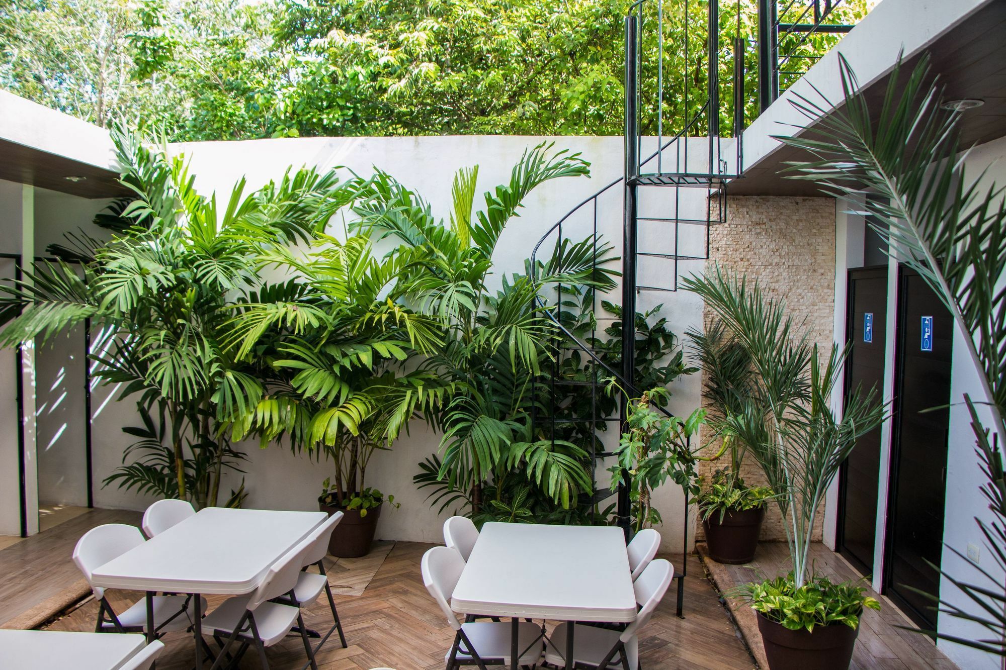 Hostal Gayser Βαγιαδολίδ Εξωτερικό φωτογραφία